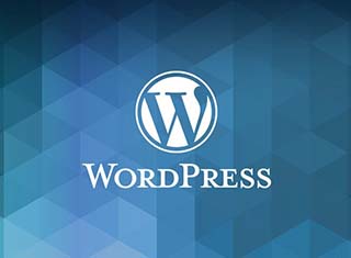 Wordpress Training Institute in Ahmedabad